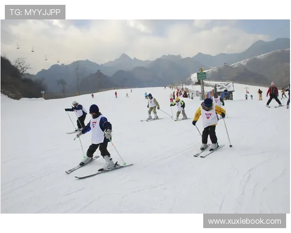 全球顶级滑雪场雪道坡度与流体动力学赛